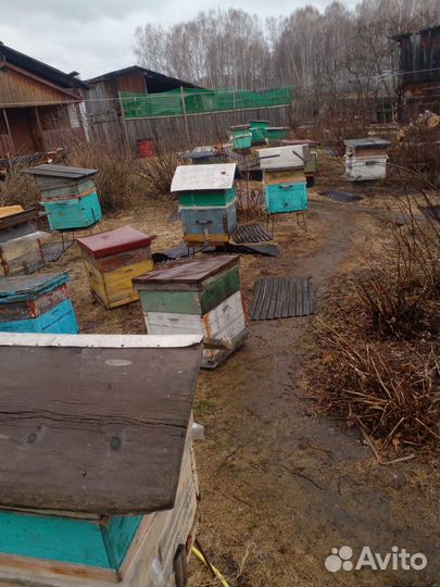 Улей для пчел