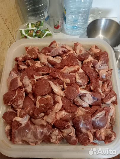 Мясо свинина мякоть