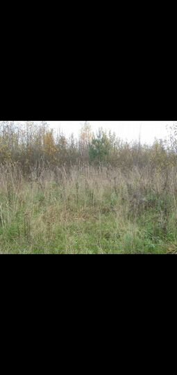 Участок 6 сот. (СНТ, ДНП)