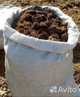 Конский навоз