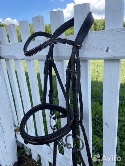 Уздечка для лошади cob