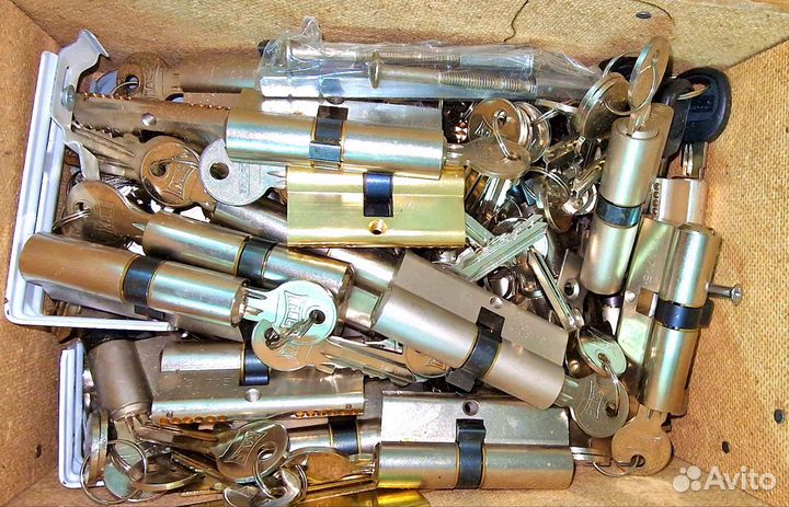 Личинки замка