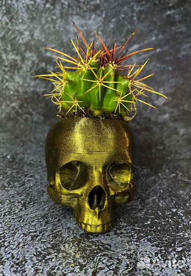 Череп кашпо