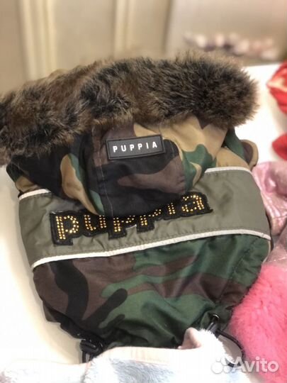 Одежда для собак б/у в отличном состоянии