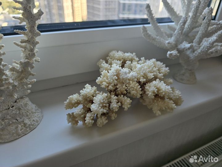 Оформление аквариума