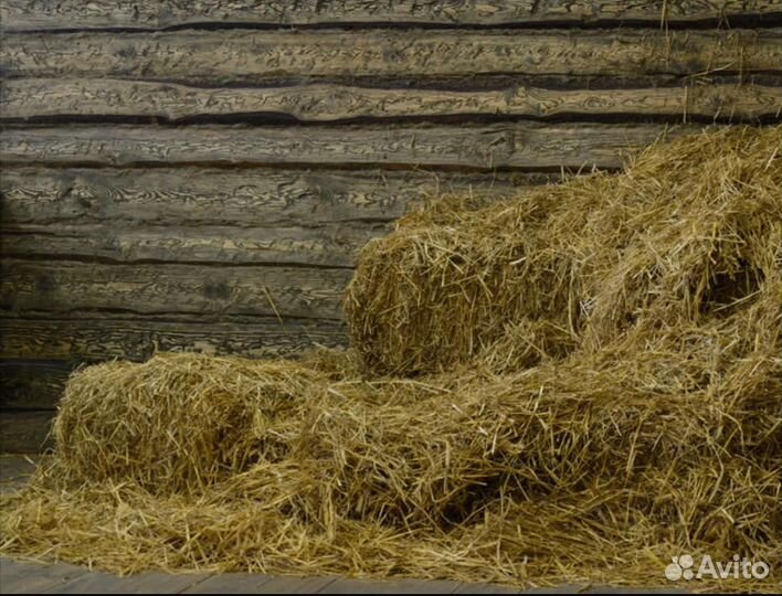 Сено с сенника