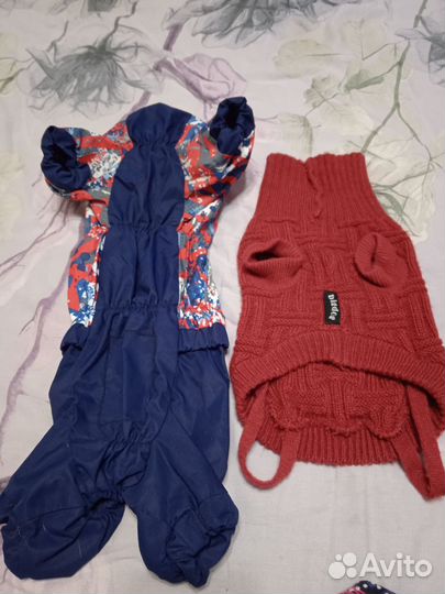 Одежда для маленьких собак