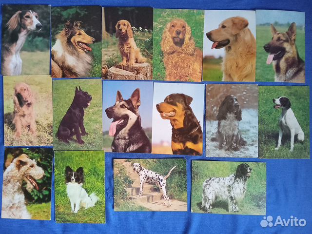 Открытки с животными