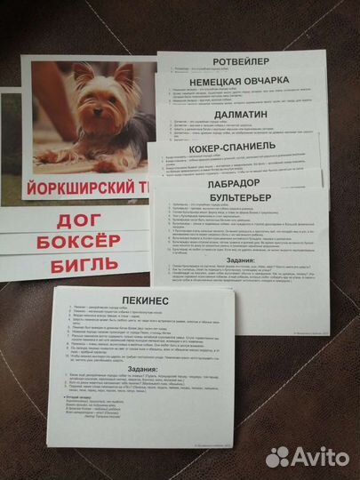 Развивающие карточки для детей