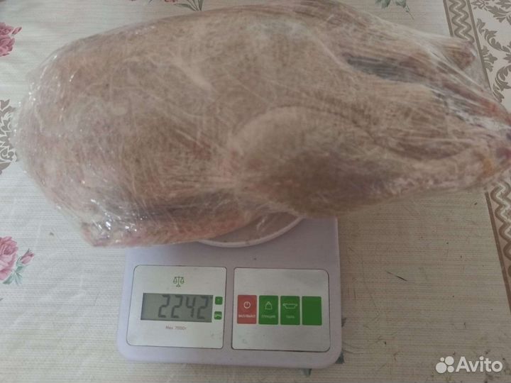 Мясо уток муларда