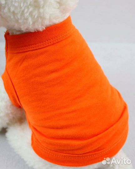 Одежда для маленьких собак