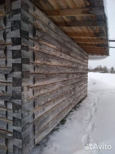 Сруб бани из осины