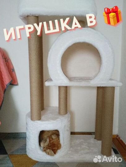 Когтеточка домик для кошки