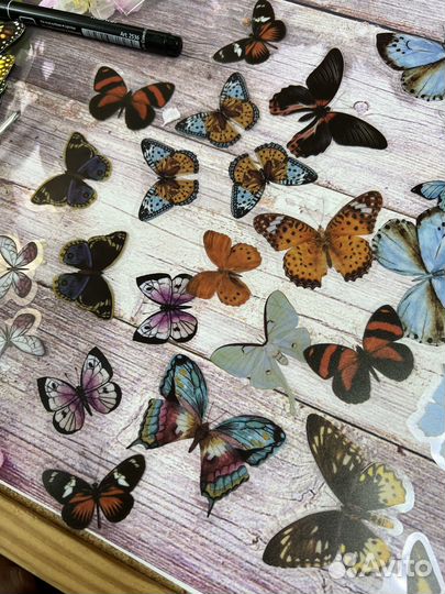 Декоративные бабочки
