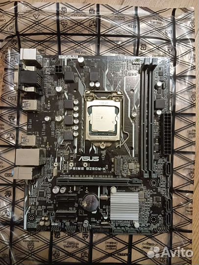Материнская плата asus prime b250m-k