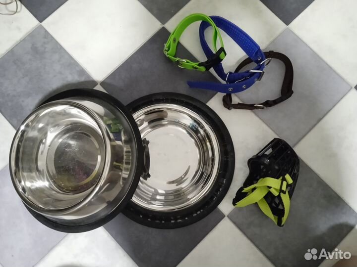 Вещи для собак