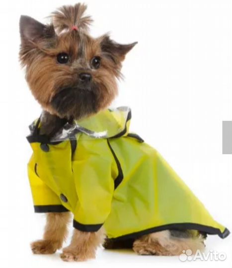 Дождевик с капюшоном для собак s желтый (унисекс)