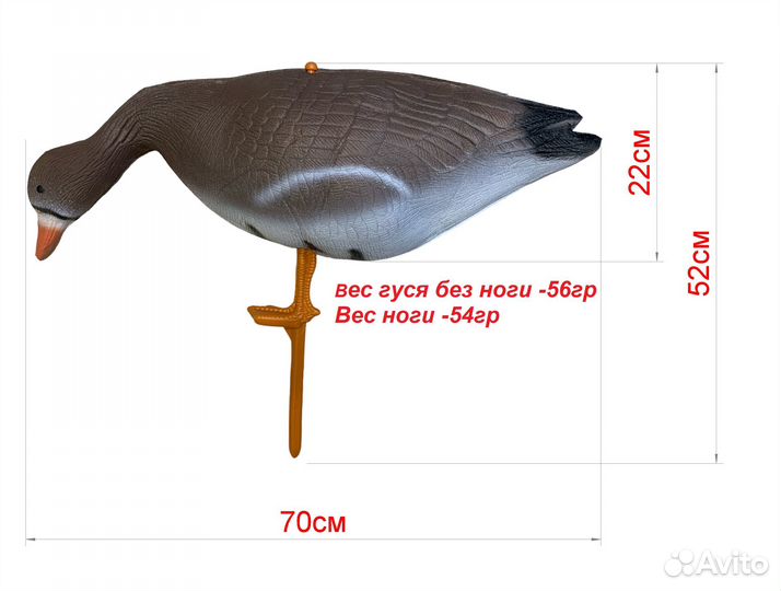 10 шт. Чучело белолобого гуся