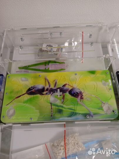 Ферма для доставки