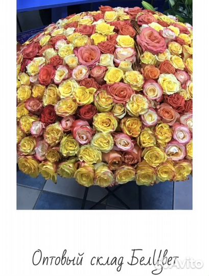 Роза любое количество