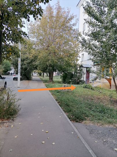 Свободного назначения, 65.5 м²