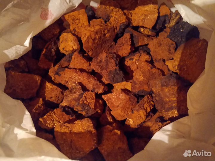 Чага березовая цена за 1кг