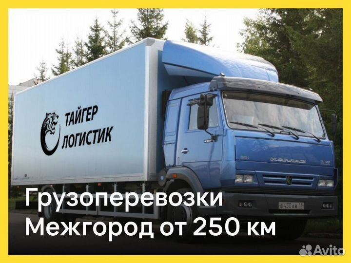 Грузоперевозки 20 тонн