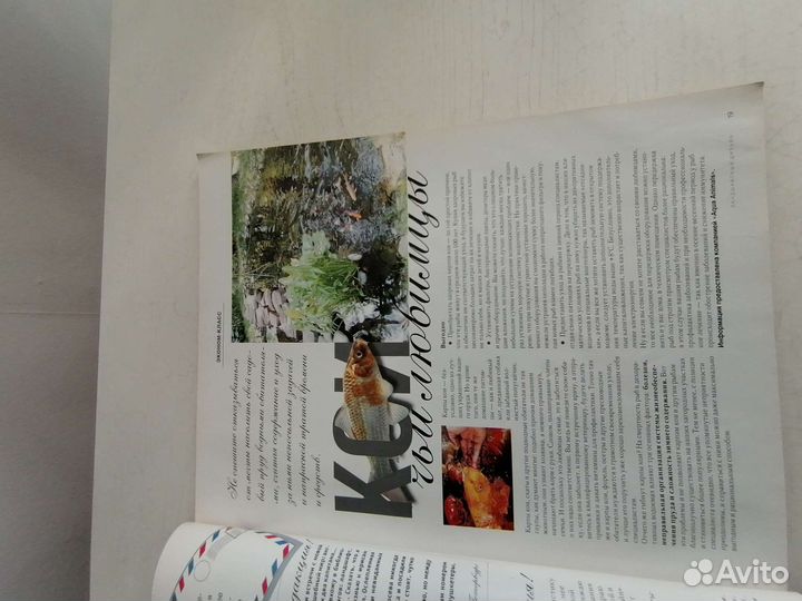 Журнал Ландшафтный дизайн(6) 2005г