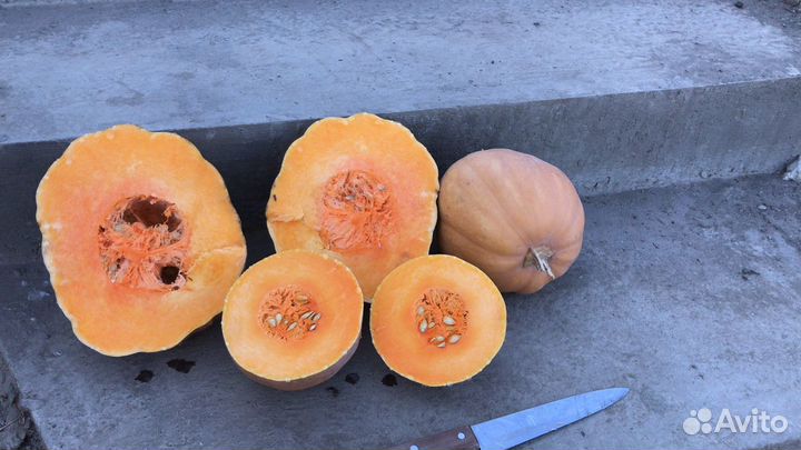 Тыква витаминная