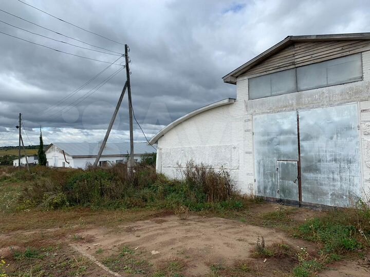 Фермы для содержания крс, 3 х 2000 м²