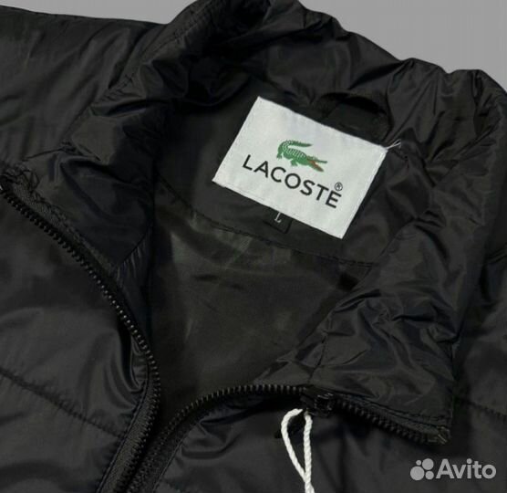 Lacoste мужская демисезонная куртка 46-54