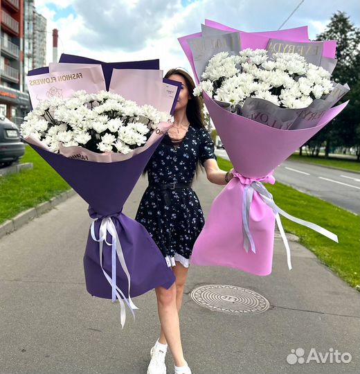 Красивые Букеты Хризантем. Свежие Цветы