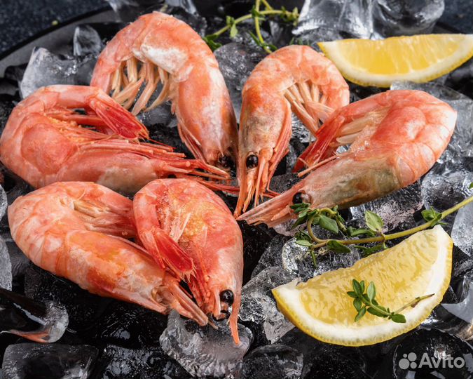 Магаданская северная креветка 70/90
