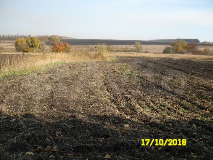 Участок 15 сот. (ИЖС)