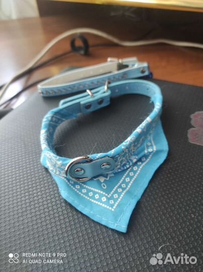 Ошейник для кошек