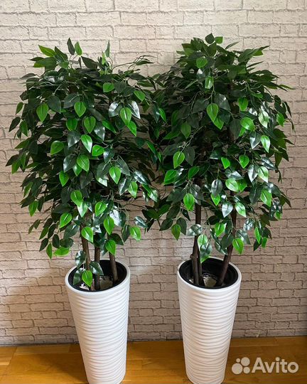 Ветки искусственные фикуса