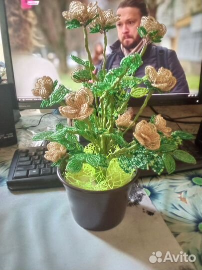 Кустовые розы