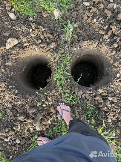 Услуги мини экскаватора и мини погрузчика