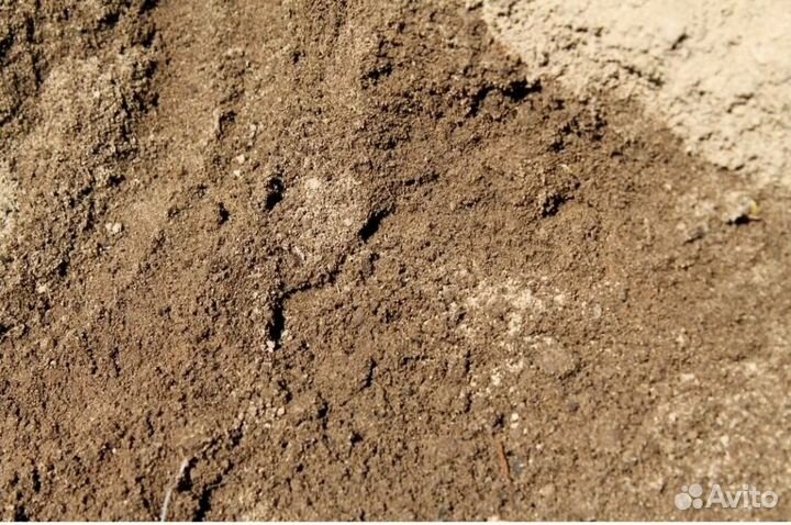 Приму котлованный грунт