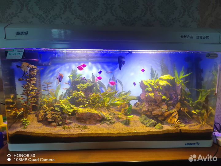 Украшение для аквариума