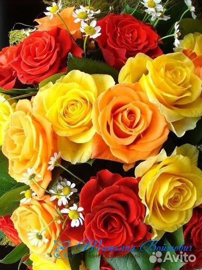 Розы Букеты цветы доставка 11 15 19 21 25