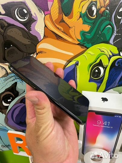 iPhone X 64gb