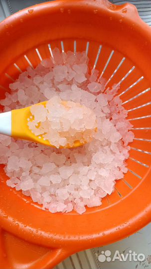 Индийский морской рис