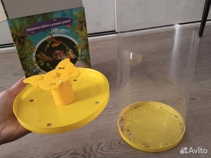 Бабочкарий