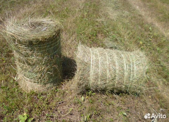 Сено в рулонах с доставкой