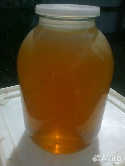 Продается мед, 2023. г