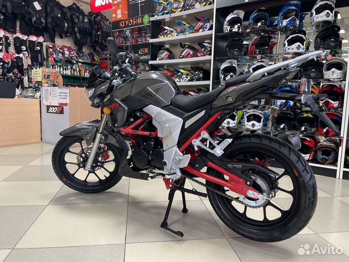 Regulmoto Raptor new