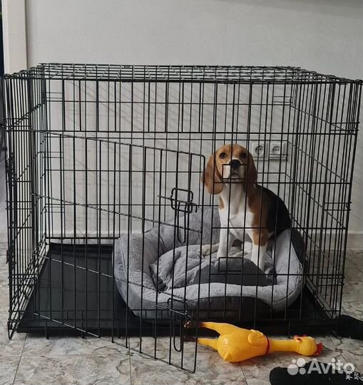 Клетка для собак №5 антивандальная