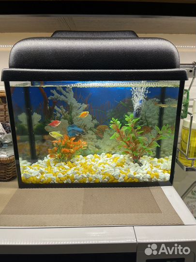 Аквариум 10 литров с подсветкой