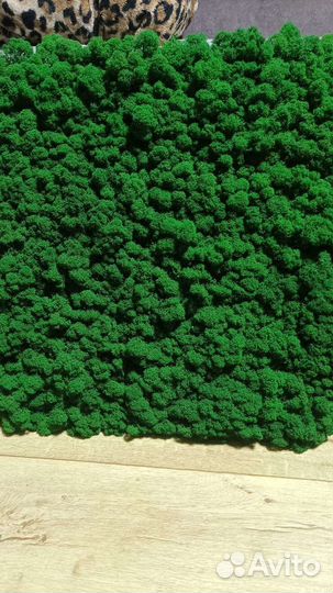 Мох Панели Полоски Панно